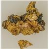 Image 2 : Crystalline Gold Specimen [183585]