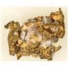 Image 2 : Native Gold In Quartz [183573]