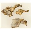 Image 2 : Native Gold in Quartz [183578]