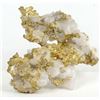 Image 1 : Native Gold in Quartz [183581]