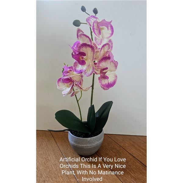Artificial Plant