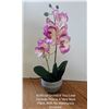 Image 1 : Artificial Plant