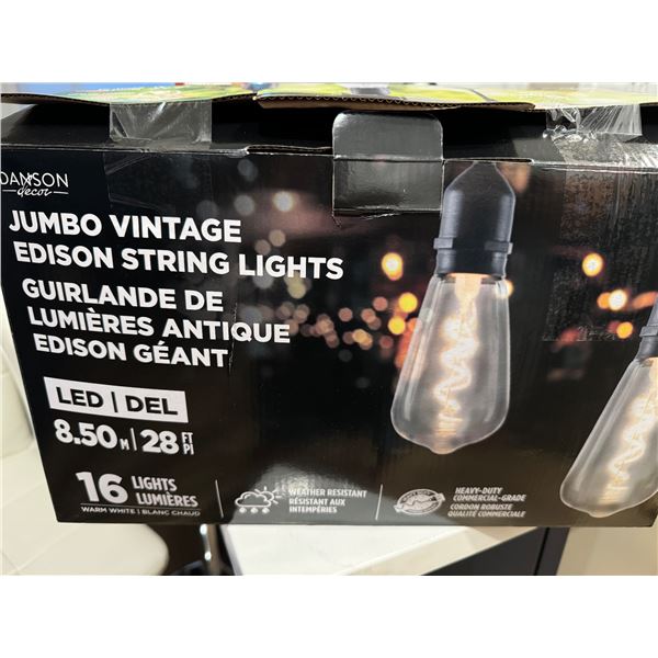 vintage Edison String lights