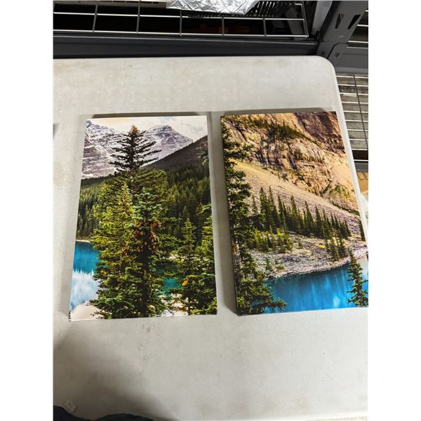2 canvas wall hangings