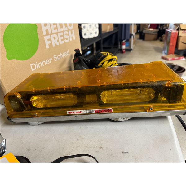 Whalen magnetic light