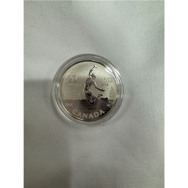 2014 find silver $20 Canadian summertime