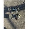 Image 1 : Castors