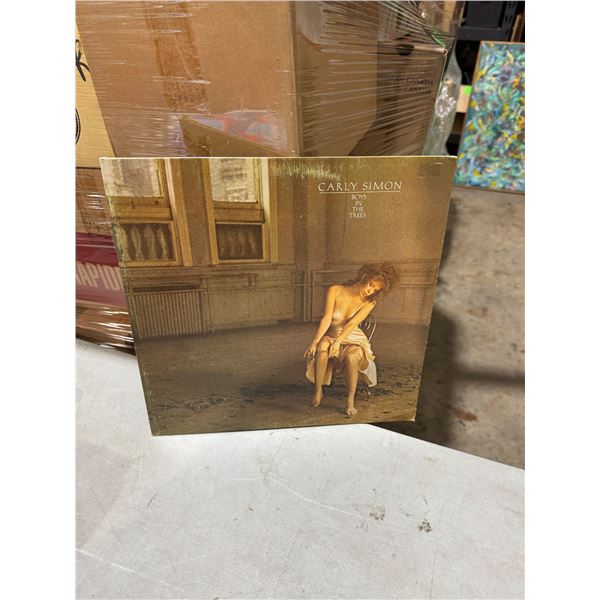 Carly Simon boys in the Trees record