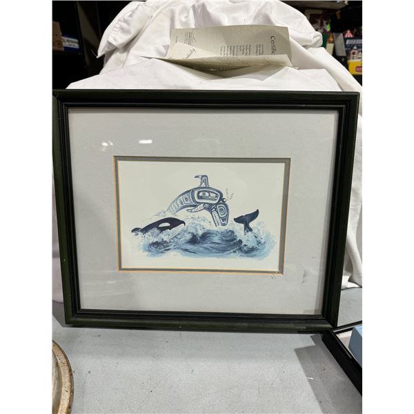 Sue Coleman the orca