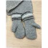 Image 6 : Icelandic Wool Icewool Scarf / Mitts / Hat - see all photos