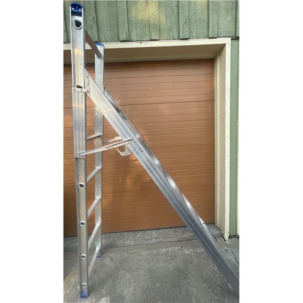 Combination Adjustable Extention Ladder