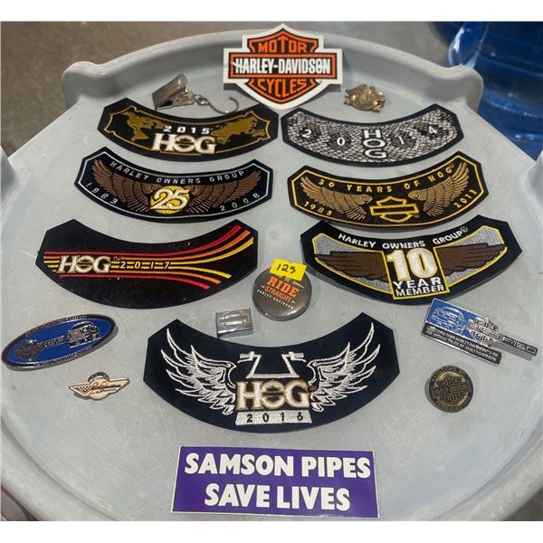 Biker Patches Harley Davidson Hog & More