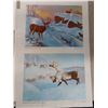 Image 2 : Monarch Life Collection : 15 Wildlife Pictures 16 1/2'' x 13'' 
