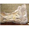 Image 2 : Fossilized whale bone relief carving of 2 eagles (2)