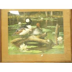 Framed and matted AJ Rudisill (2)