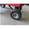 Image 5 : Child Wagon with Stakes 