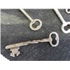 Image 3 : 65 Skeleton Keys and Locks