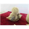 Image 8 : 2 Hand Crafted Inuit Owl Family Made from Seal Hide 