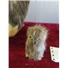 Image 9 : 3 Inuit Hand Crafted Owl and Northern Birds Made from  Caribou / Seal Hide