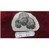Image 1 : Poodle Soap Stone Plaque 7'' x 5 1/2'' 