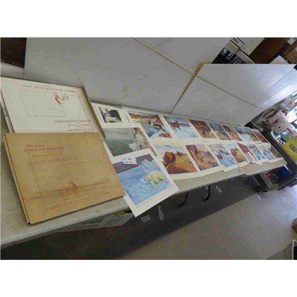 18 Clarence Tillenius Prints 