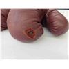 Image 4 : Vintage Boxing Gloves 