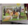 Image 5 : Vintage Toy Poseable Western Horse (Heavy Plastic) with Original Box 'Big Beauty'  