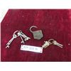 Image 1 : Padlock, Skeleton Keys