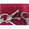Image 3 : Padlock, Skeleton Keys