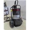Image 3 : Red Lion 1/3HP Sump Pump 
