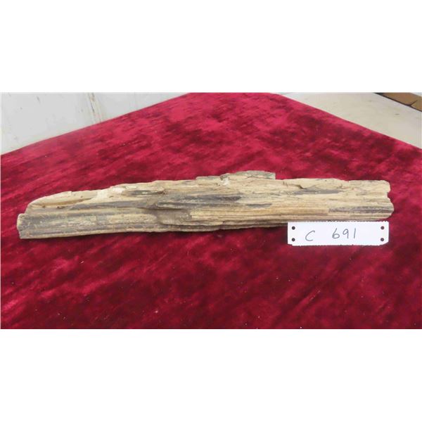Petrified Wood 16'' Long 