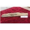 Image 1 : Petrified Wood 16'' Long 