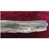 Image 2 : Petrified Wood 16'' Long 