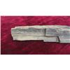 Image 3 : Petrified Wood 16'' Long 