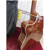 Image 8 : New Epiphone Model AJ-210CE NA Acoustic Electric Guitar with Soft Case