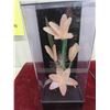 Image 2 : Fibre Optic Flower Lamp 14'' x 5 1/2'' x 4 1/2'' - Working 