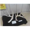 Image 1 : 2 Deer Horn Sheds 