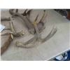 Image 2 : Deer Horn Sheds , Couple Bovine Horns 