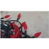 Image 8 : Tote with 27 Sets of Red/White Christmas Lights