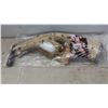 Image 3 : New Tavor Rifle Pillow Approx 32'' Long 