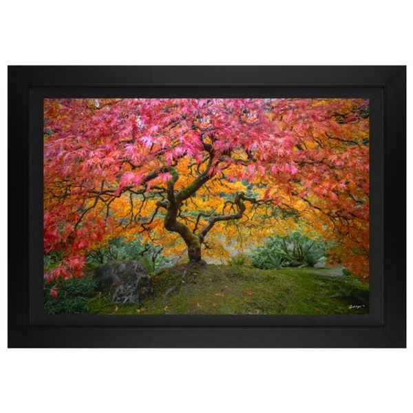 Jongas  Full of Life  Limited Edition Giclee on Canvas