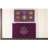 Image 2 : 1985 US PROOF SET (WITH BOX)