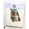 Image 1 : CROSS STITCH PATTERN KITS ALL TOGETHER-ESTATE