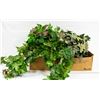 Image 1 : 2 ARTIFICIAL PLANTS
