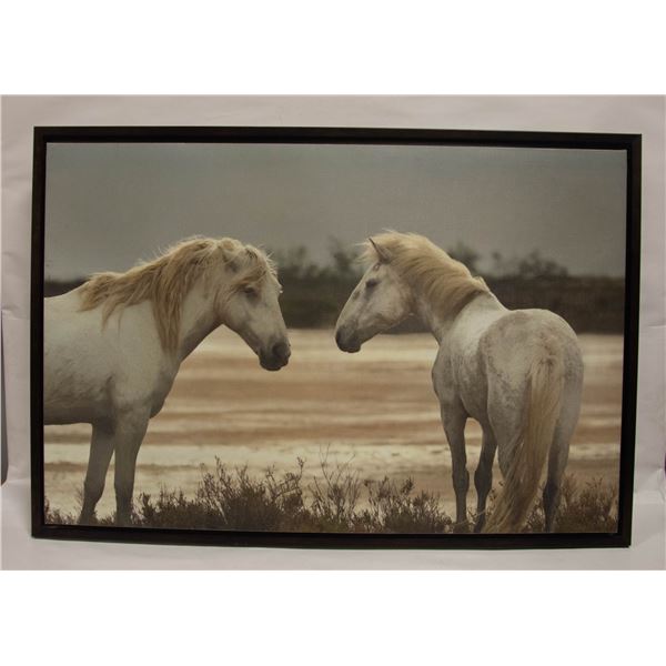 HORSE CANVAS PRINT
