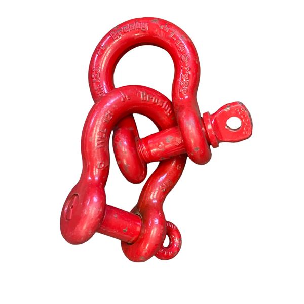 Group of 2 Crosby WLL 12T Shackle