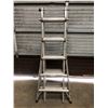 Image 1 : Industrial LP-821 extension ladder