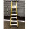 Image 1 : Featherlite 300lbs 8ft ladder