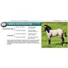 Image 1 : SHEZA DIXIE BOON DRR