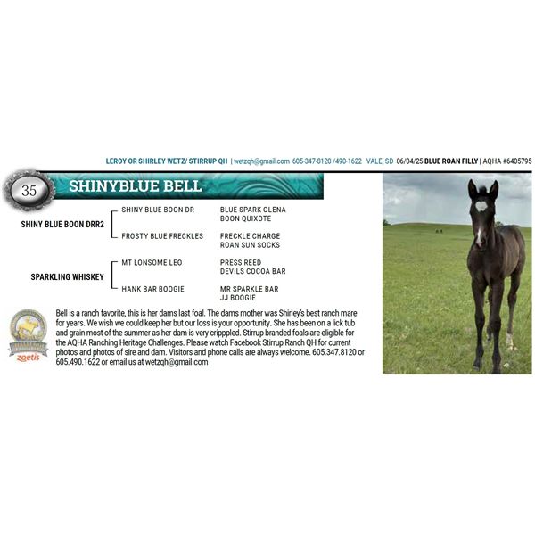 SHINYBLUE BELL